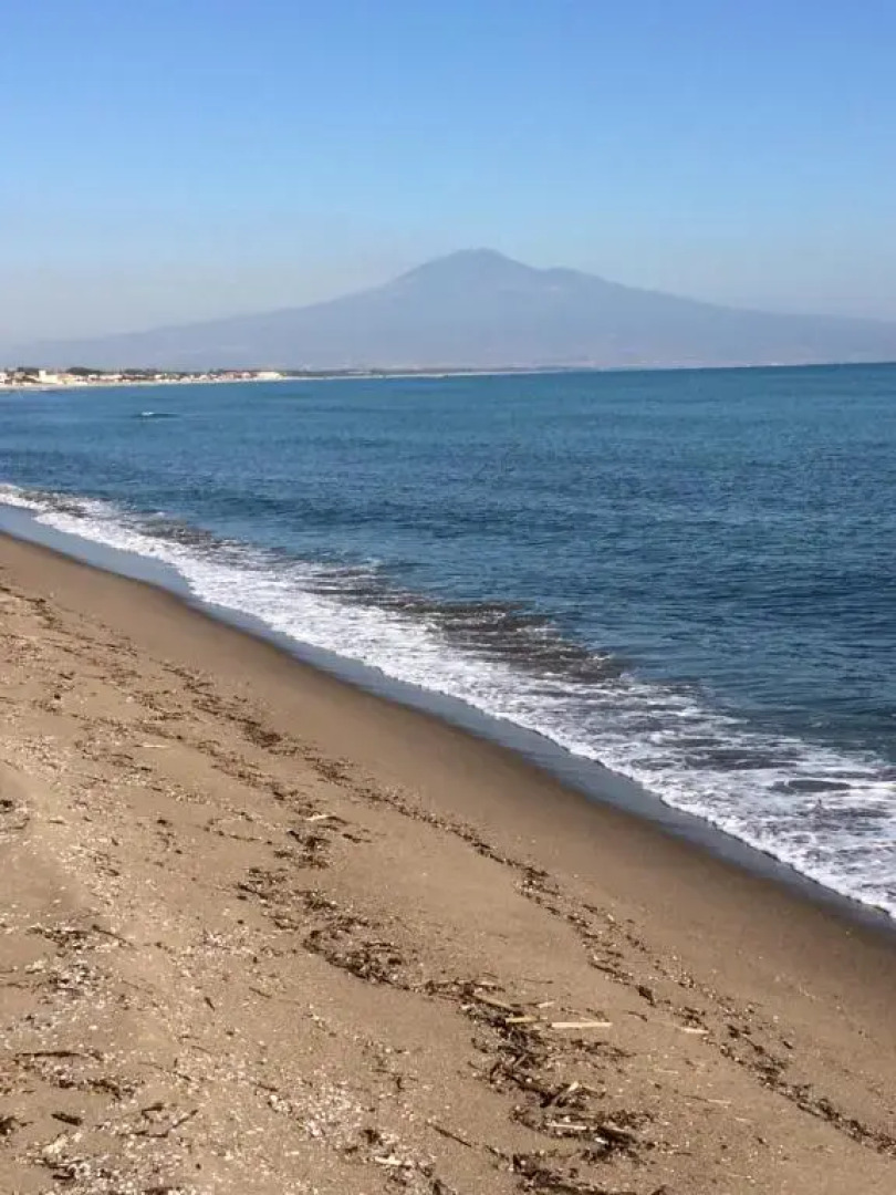 Appartamenti Alessandro