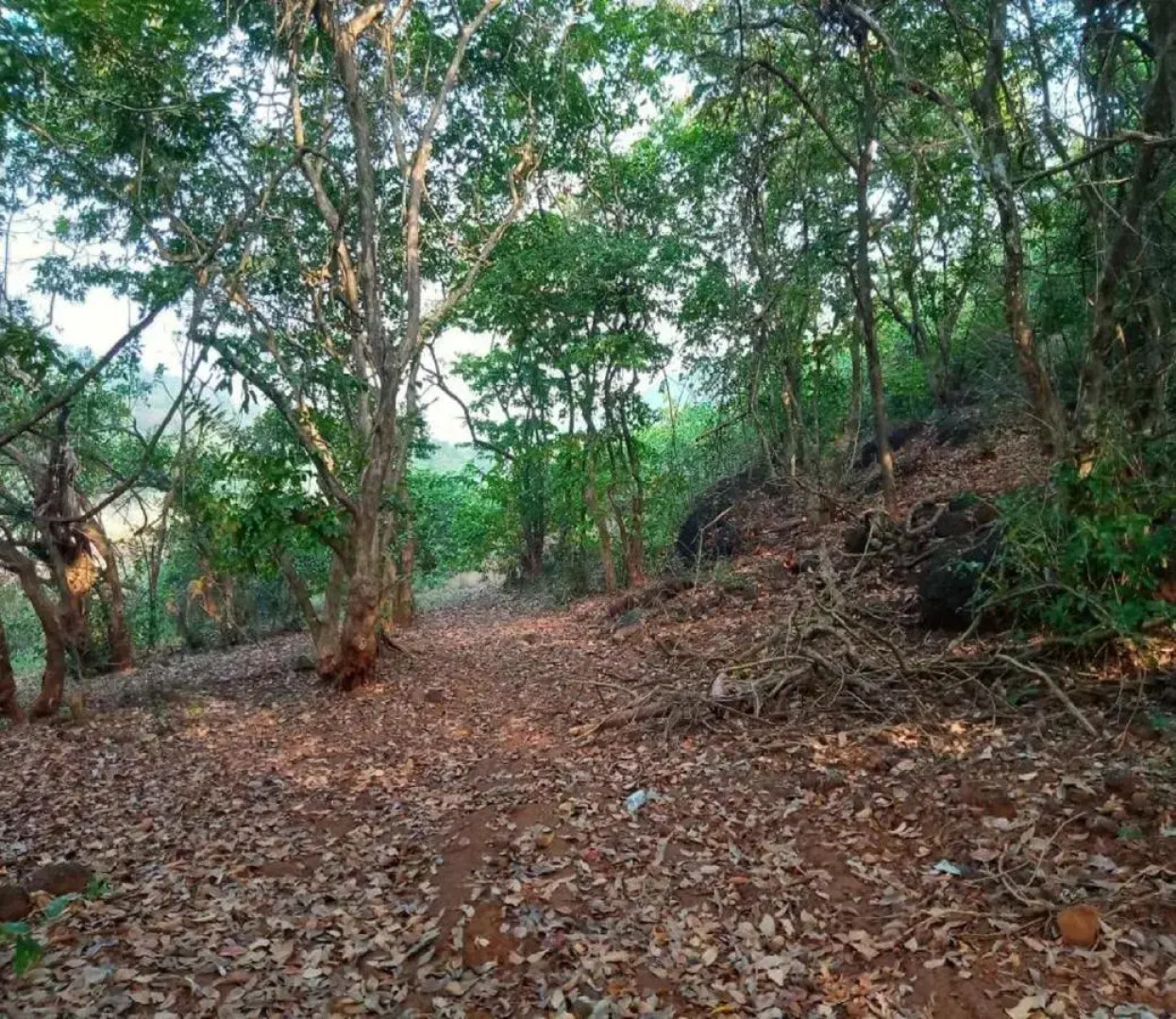 Whistling Farms Home Stay