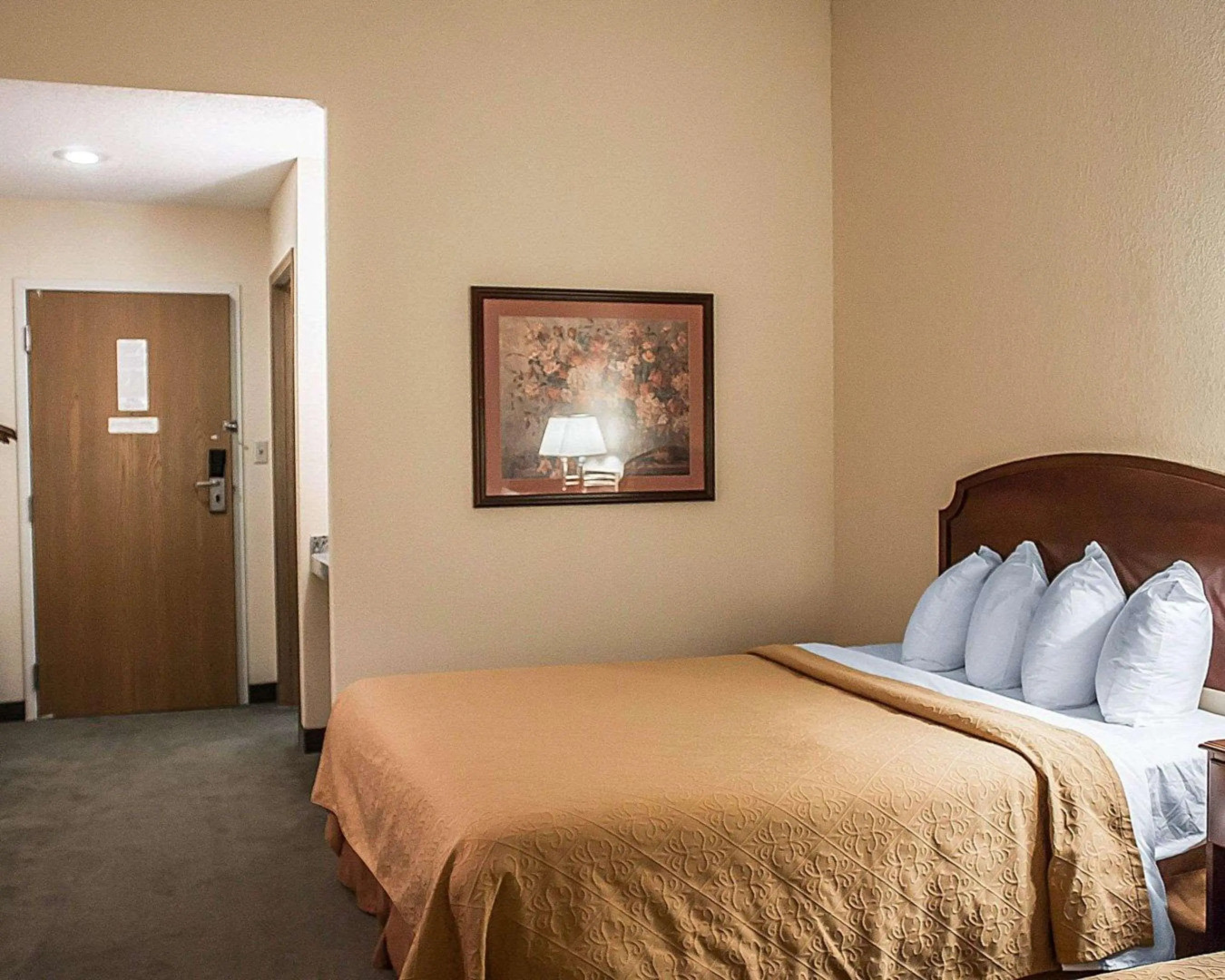 Quality Inn & Suites Bellville - Mansfield
