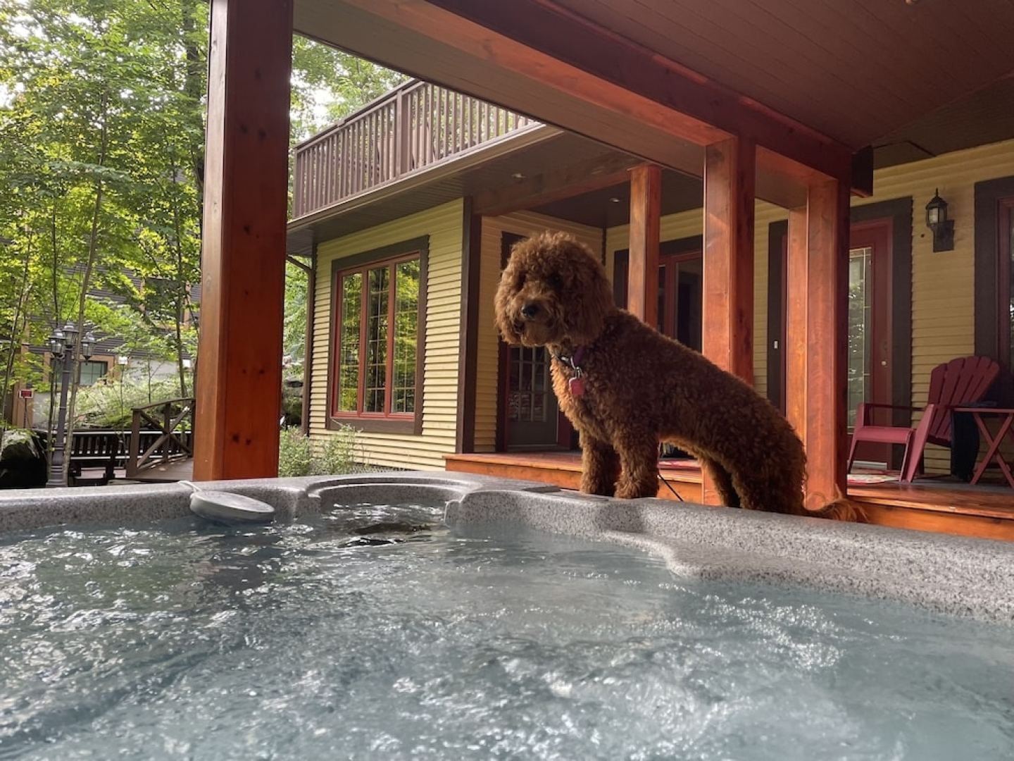 Rare CITQ (240284) 4 Star Mountain Chalet