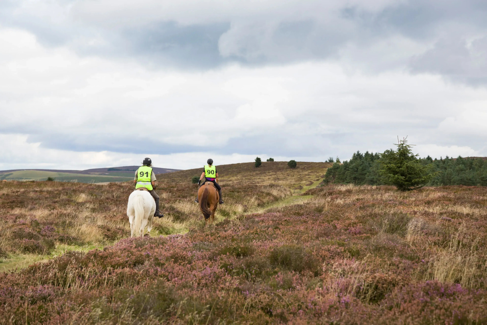 Duchy House Guest House