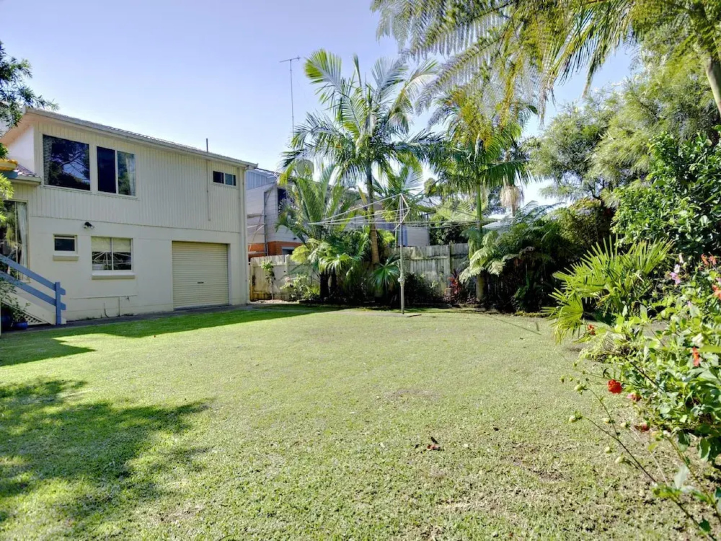 Reel Paradise, 101 Horace Street