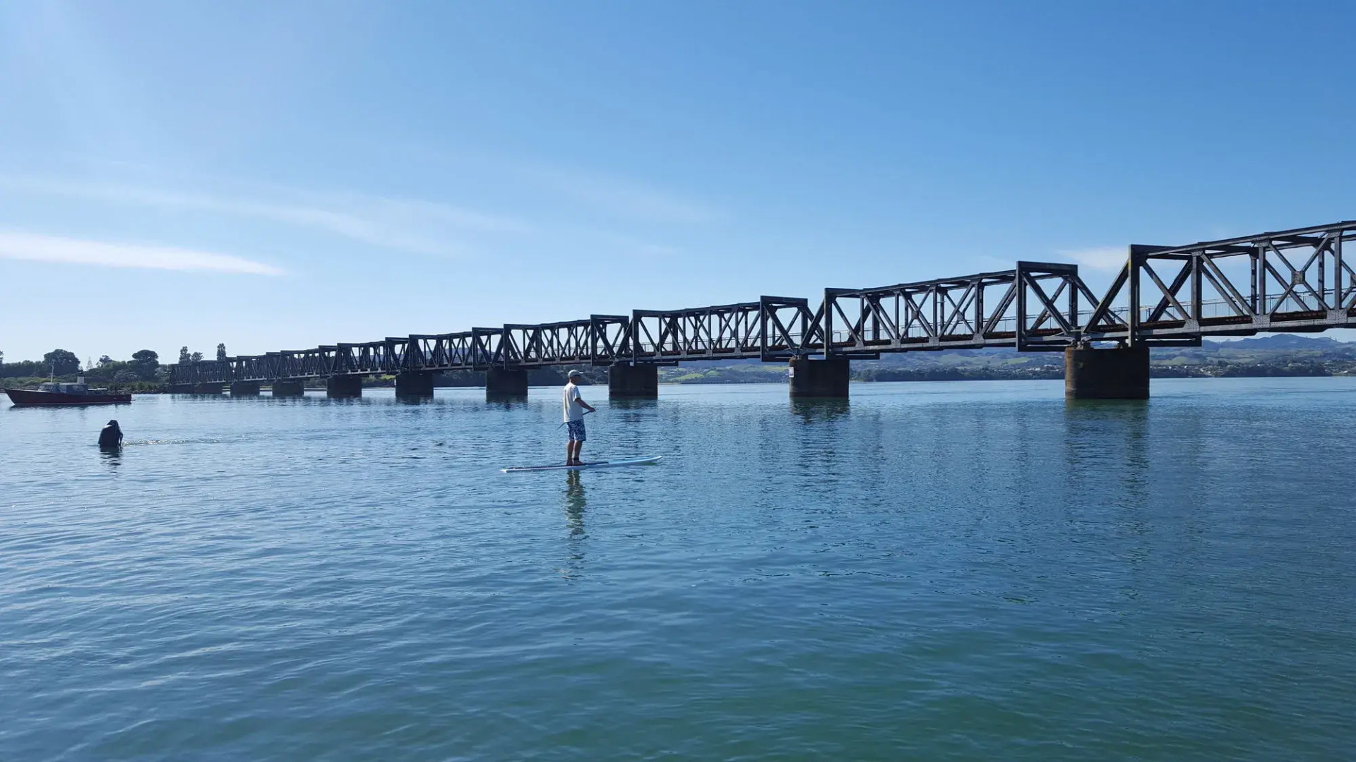 Harbour View Motel and Water Front Apartments