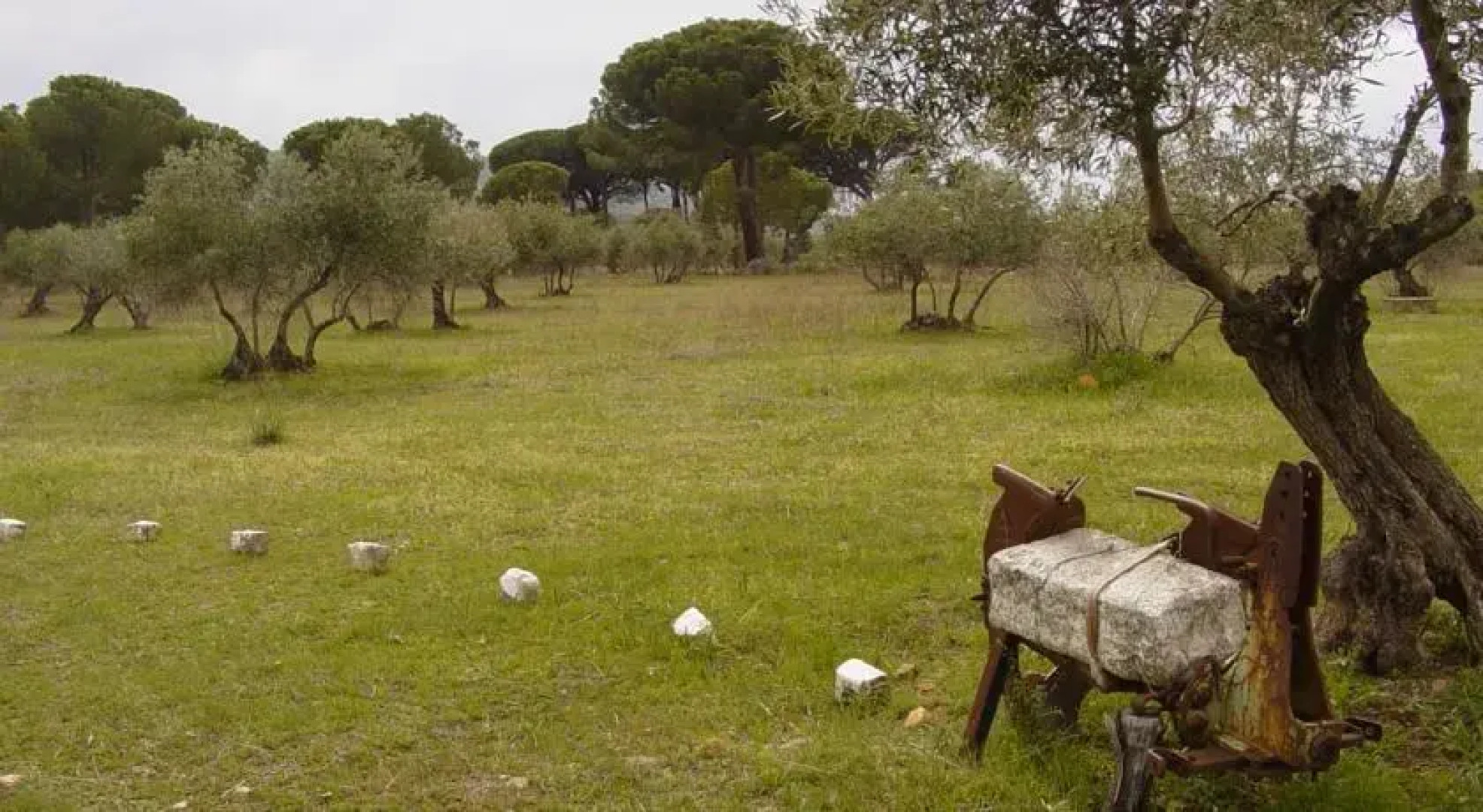 Valle del Roble Encantado