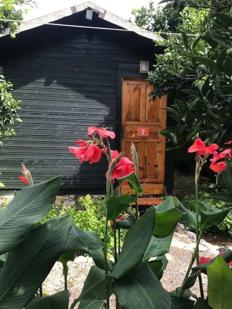 Olympos Yigit Pansiyon