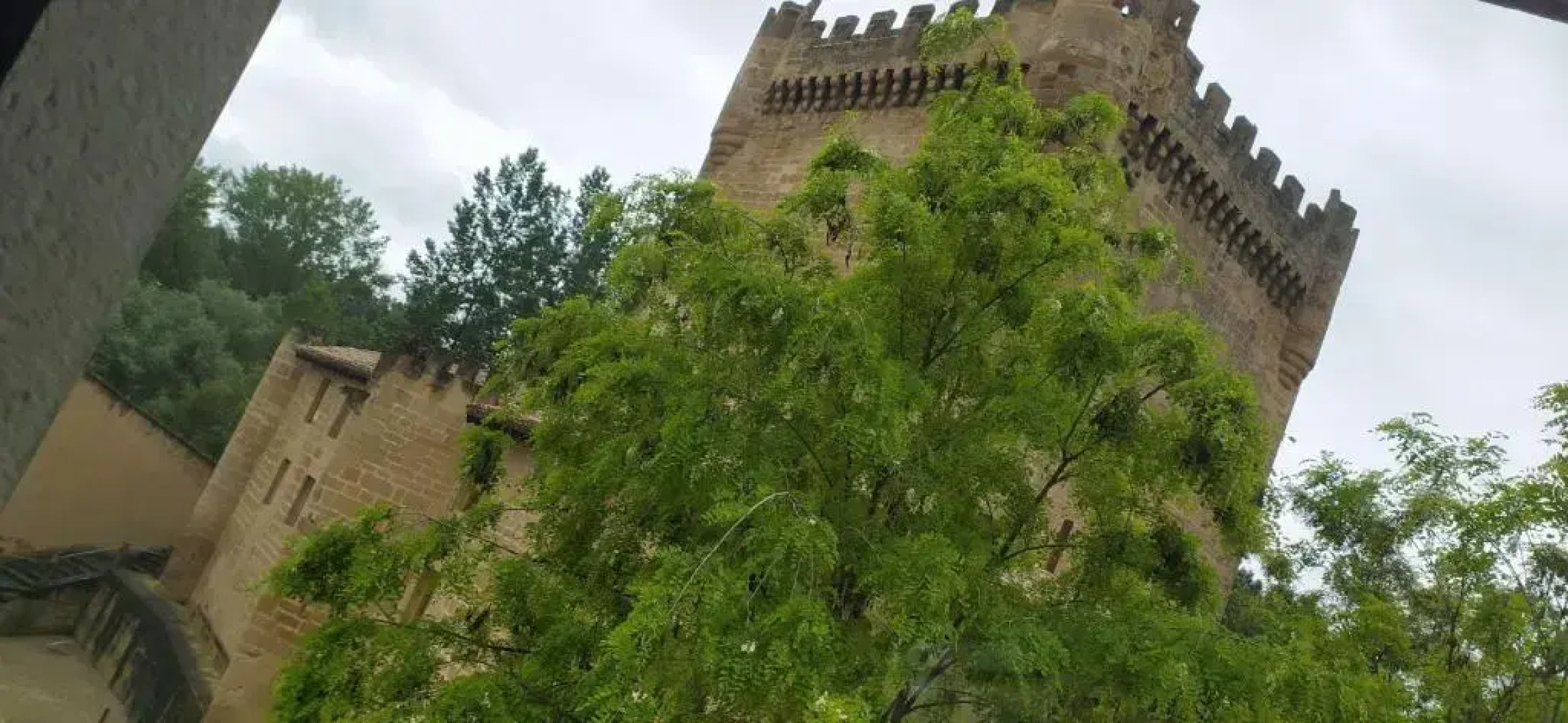 Apartamentos Antonia