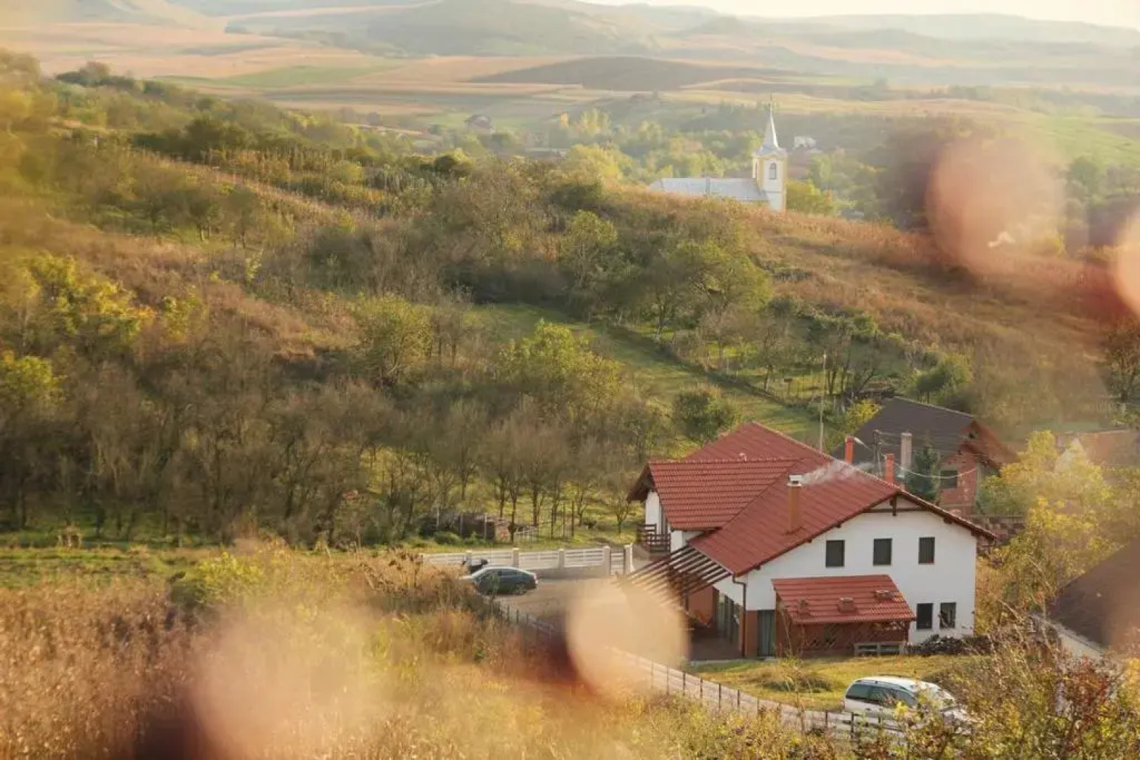 Pensiunea Casa din Vii