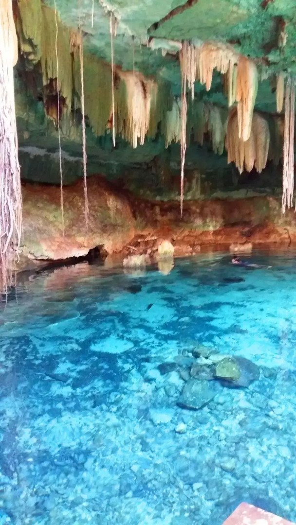 The FlyCatcher Inn Boutique Hotel