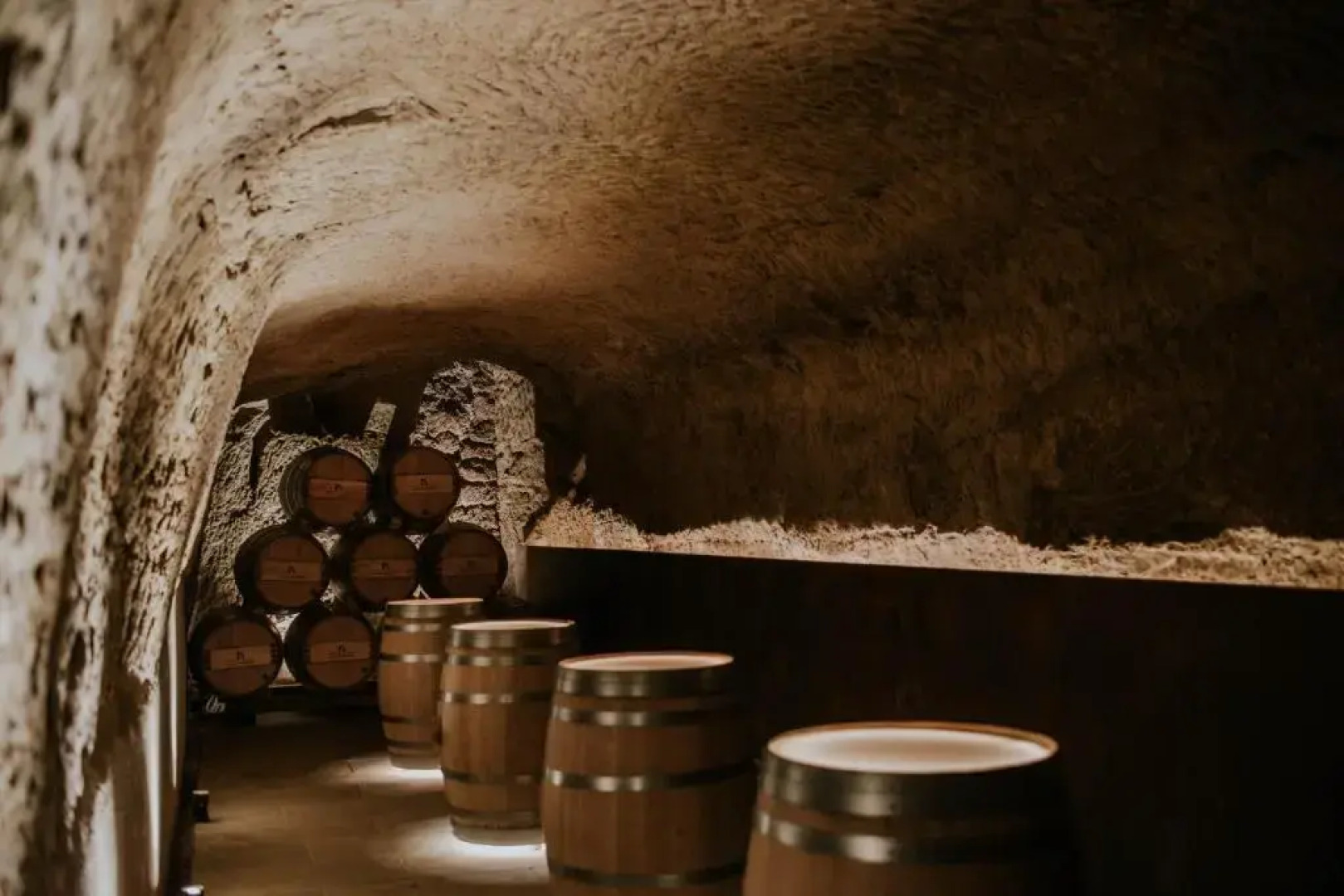 Palacio Tondon, La Rioja Brinas