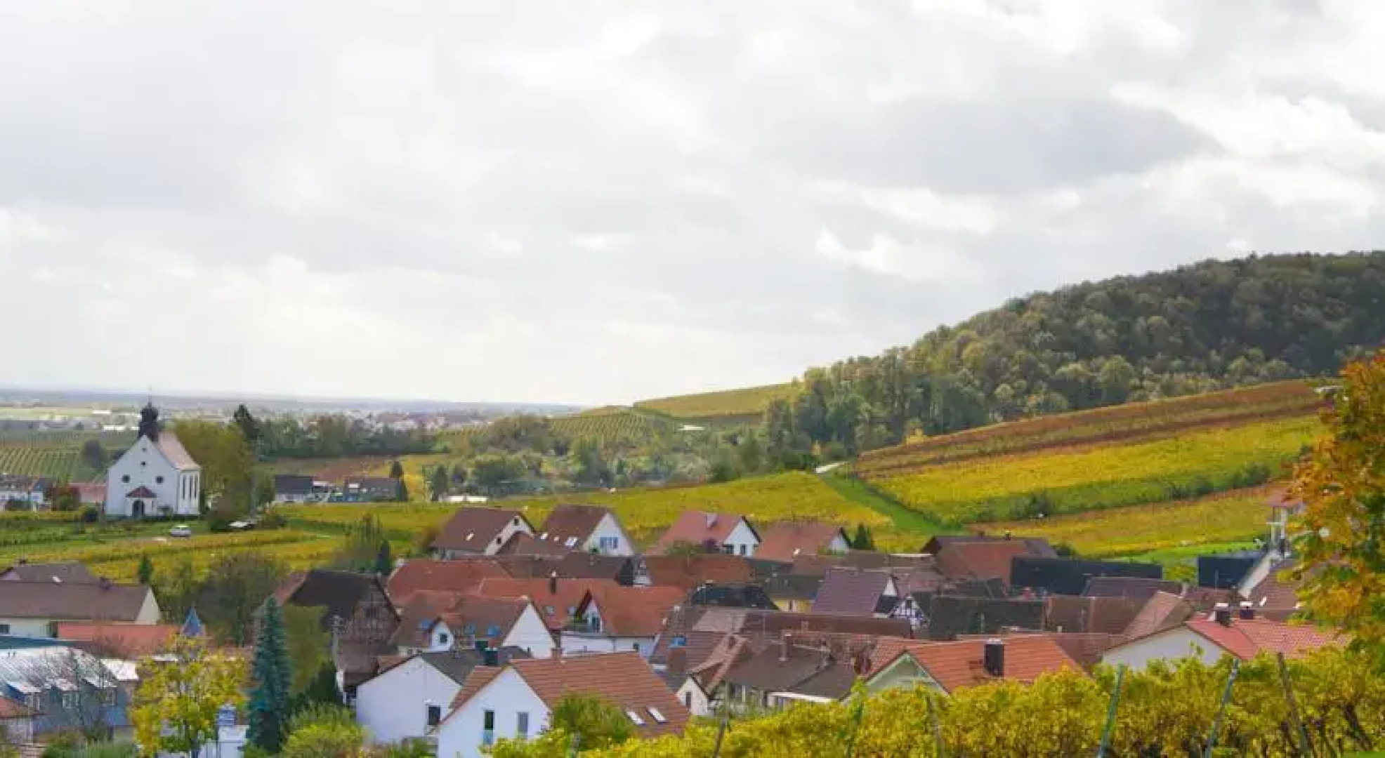 Winzerhaus Südpfalz
