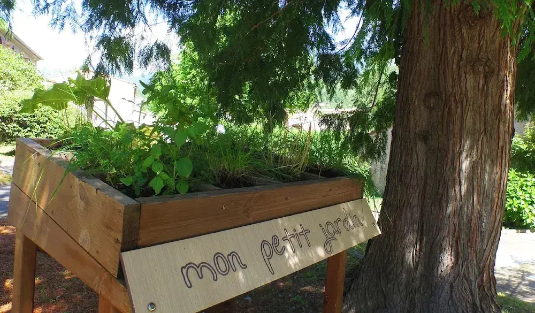 VVF Pyrénées Canigou, Prats de Mollo la Preste
