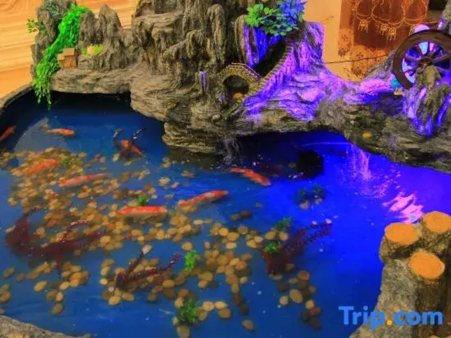 Yinlong International Hotel