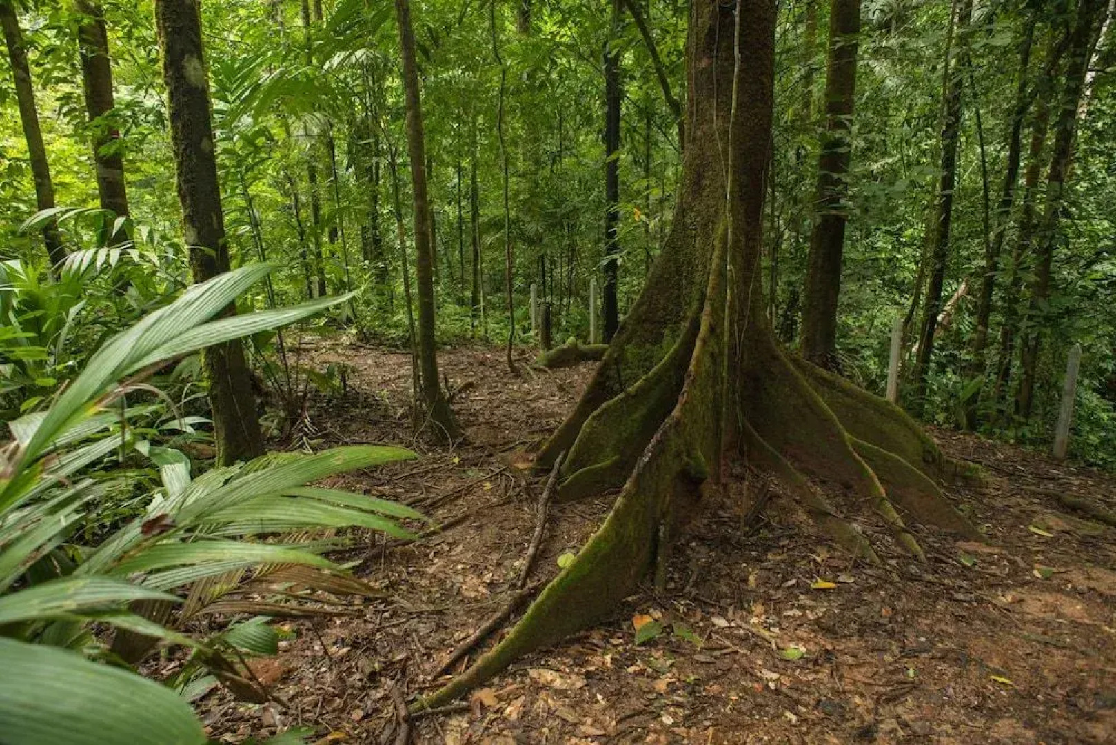 The Sunset Tucano Lodge