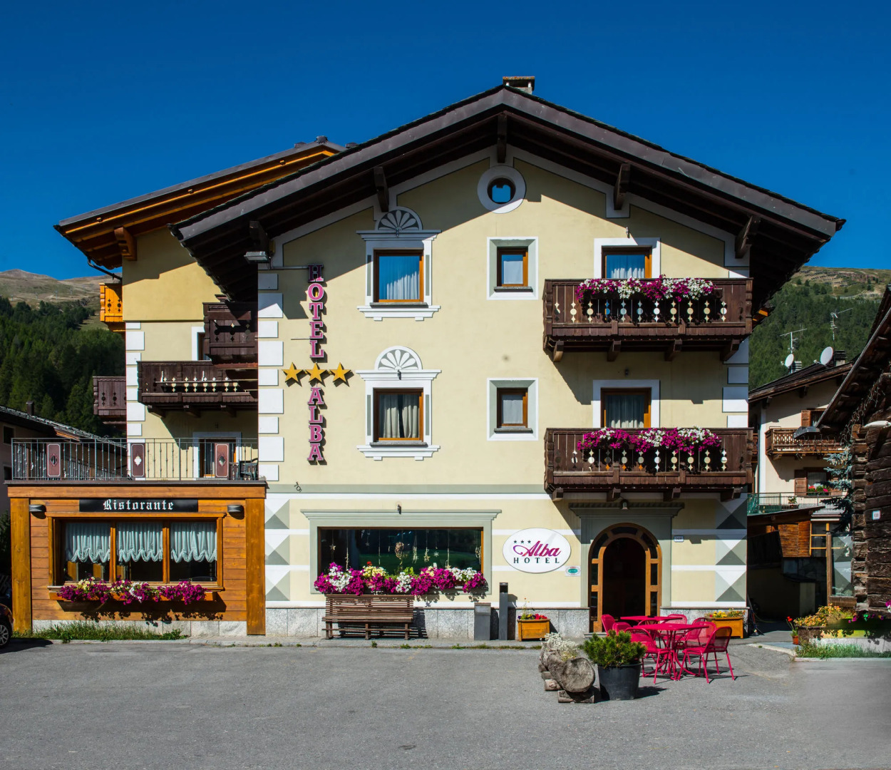 Alba Alpine Hotel