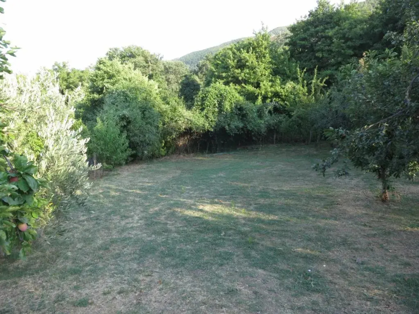 Panagiotis Apostoloudias Rooms