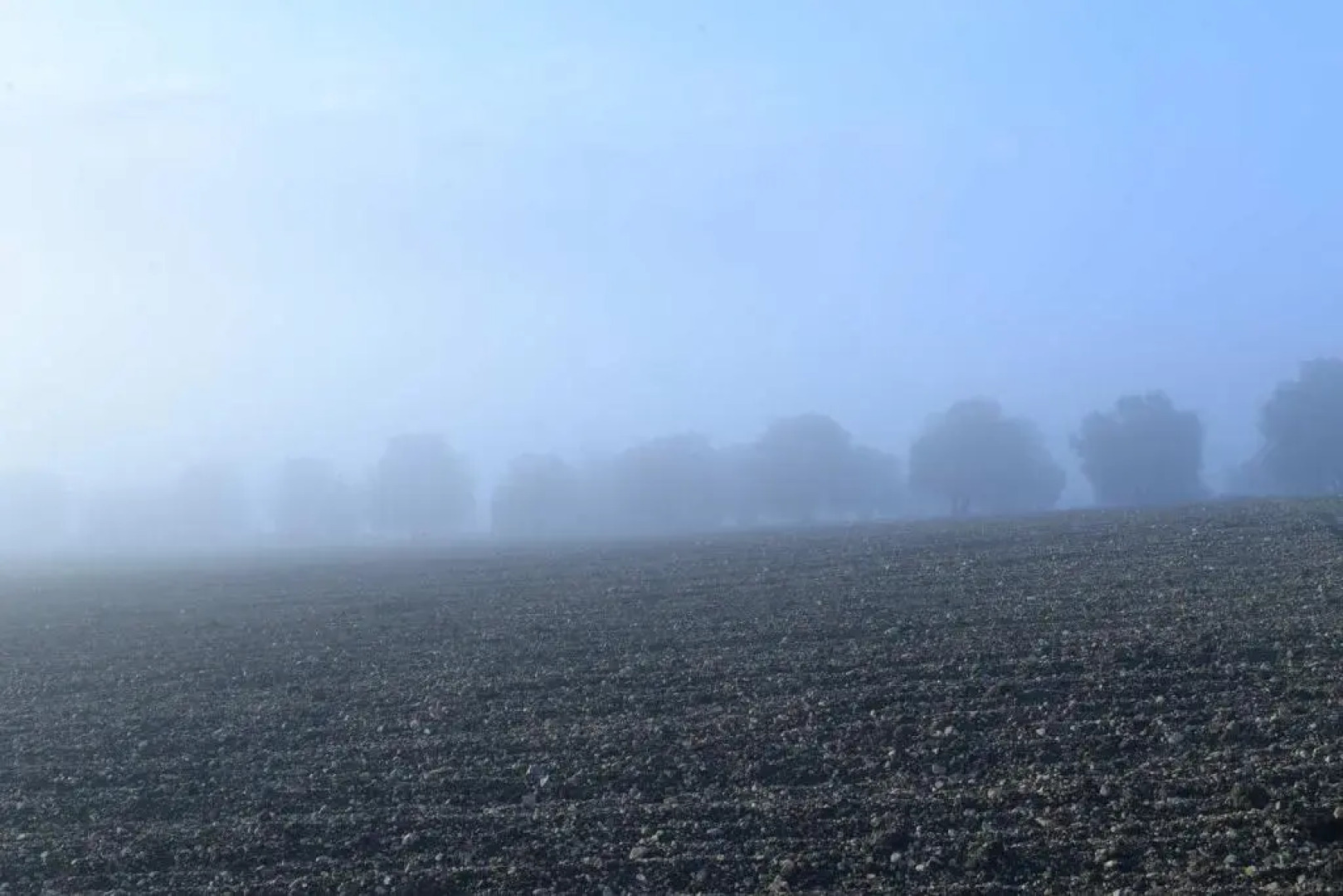 Agriturismo Arte et Agricoltura