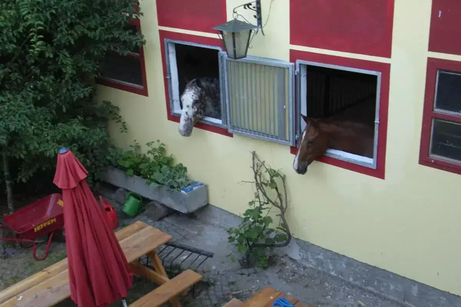 Reitstall Familie Inghofer - Gästehaus & Bauernhof