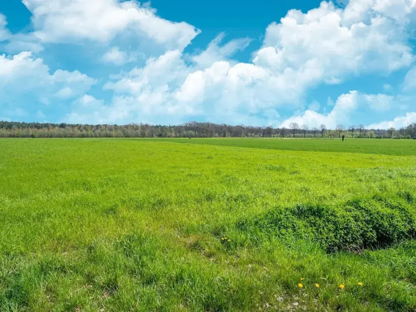 Rural House on Park Near Molenschot