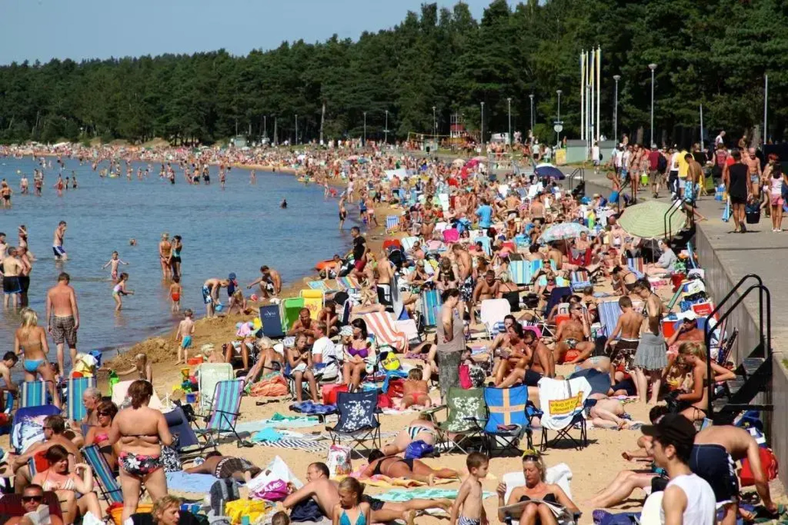 The Cozy Little House