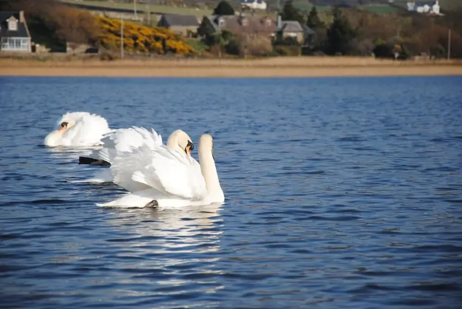 The Mill Restaurant & Accommodation