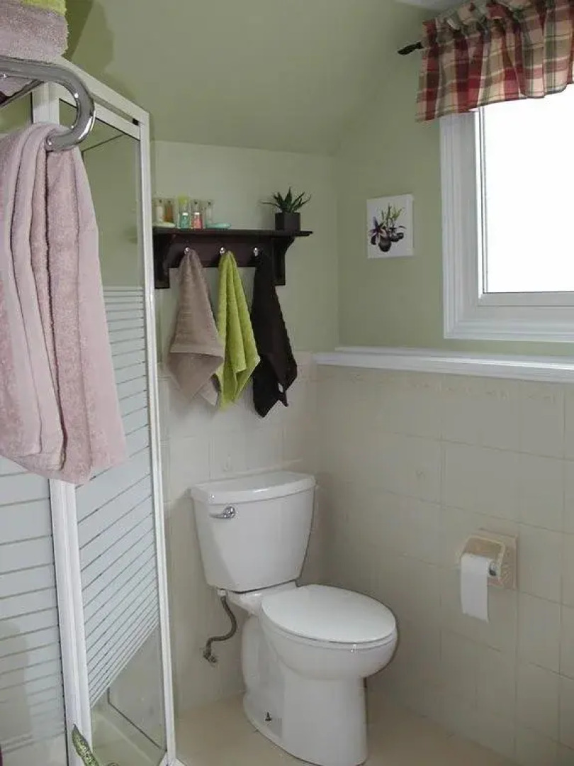 Dogs Are Welcome Studio Suite