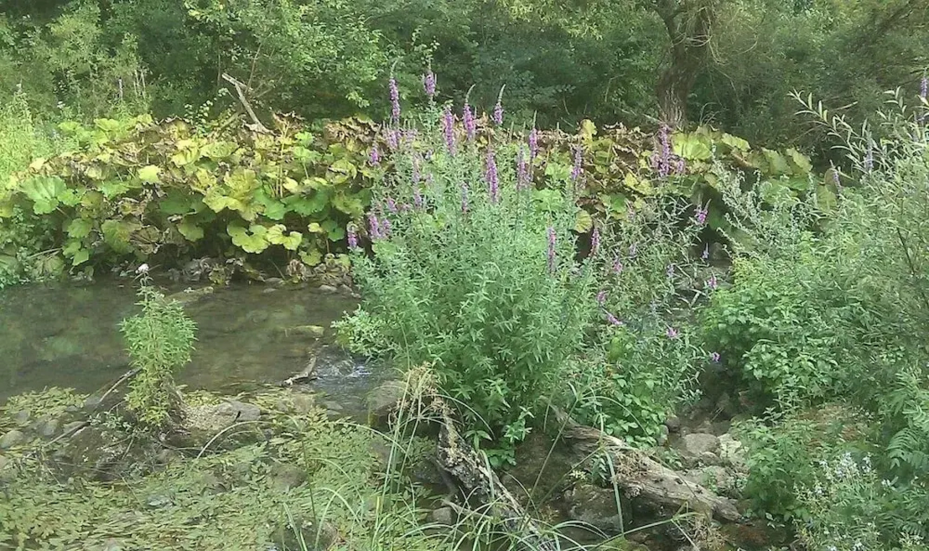 Antica Taverna del Principe