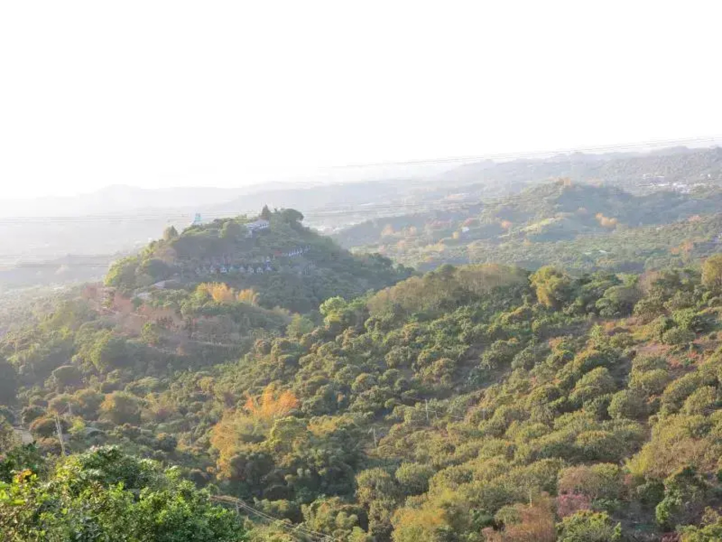 Fairy Lake Leisure Farm B & B