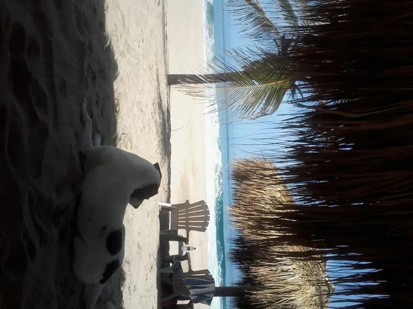 Casa las Olas Boutique