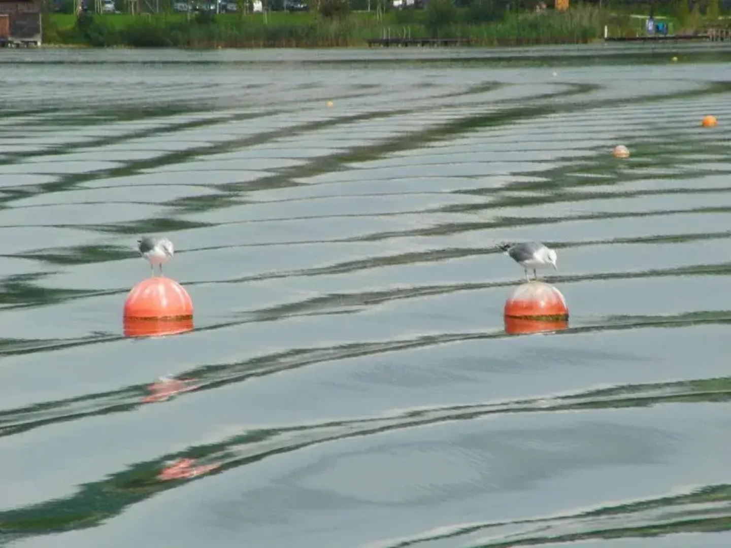 Seepension Hemetsberger