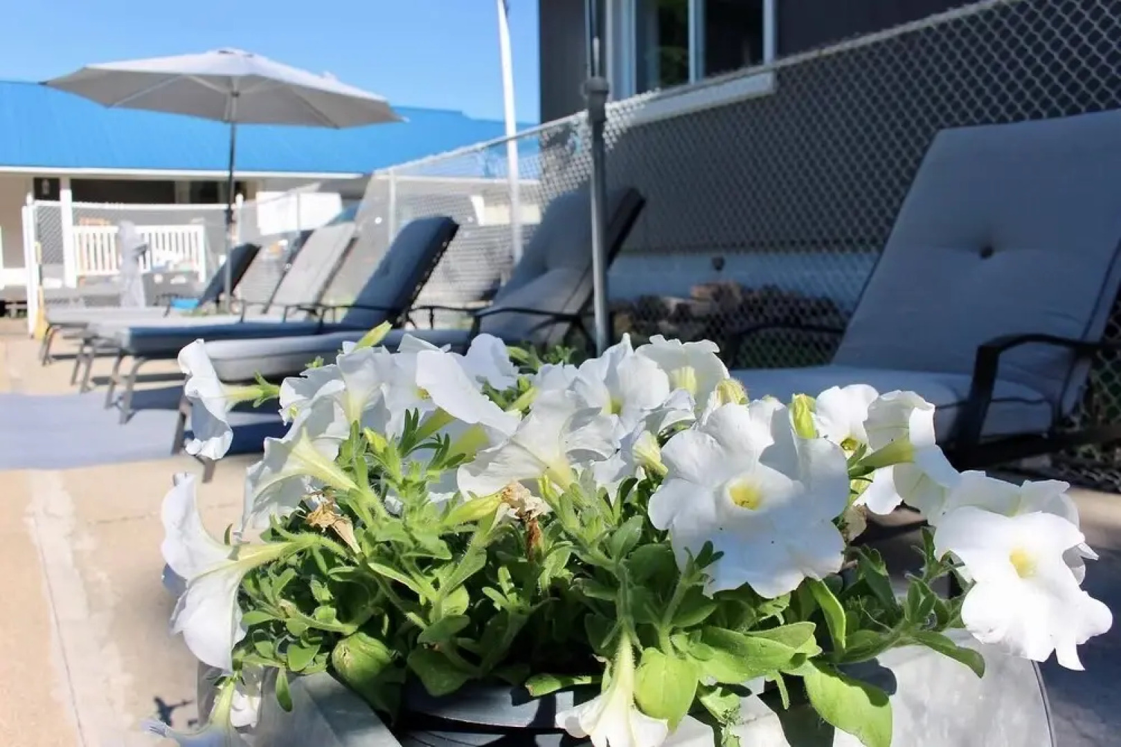 Lakeview Motel and Cottages