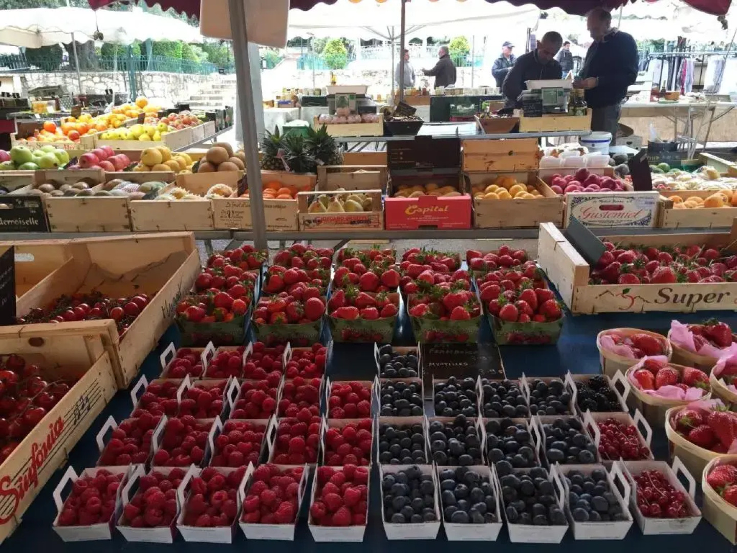 Suite Apartment Saint Jean Cap Ferrat