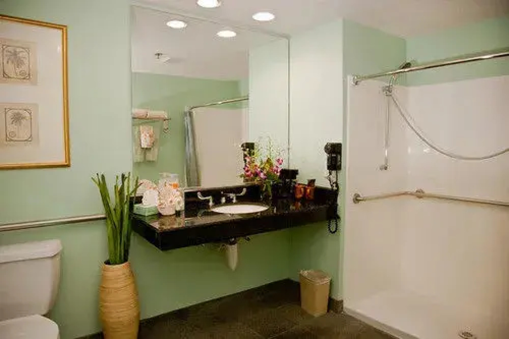 Carousel Inn and Suites