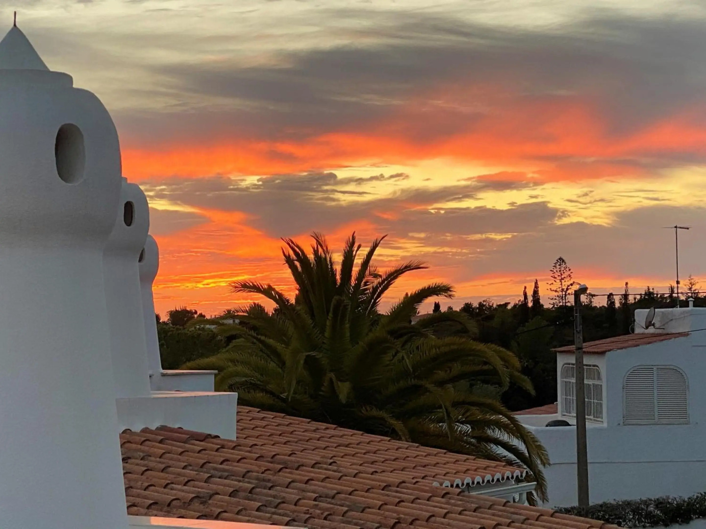 Townhouse - Casa Papaya