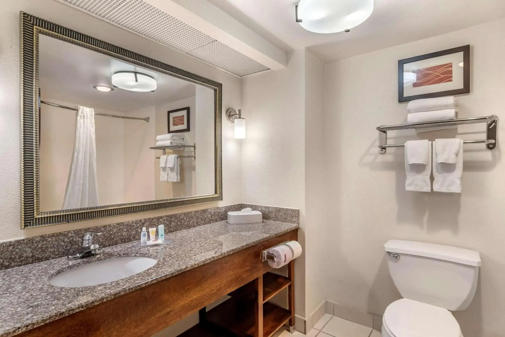 Comfort Inn & Suites Athens North