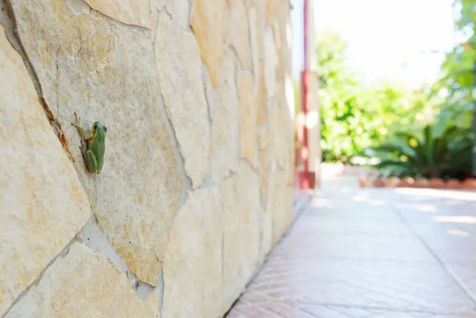 Villa With one Bedroom in Santa Teresa di Riva, With Wonderful sea View, Private Pool and Enclosed Garden - 1 km From the Beach