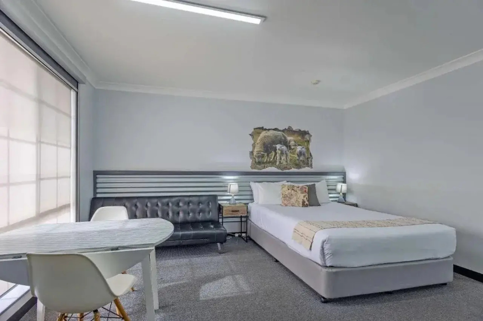 Shearing Shed Motor Inn