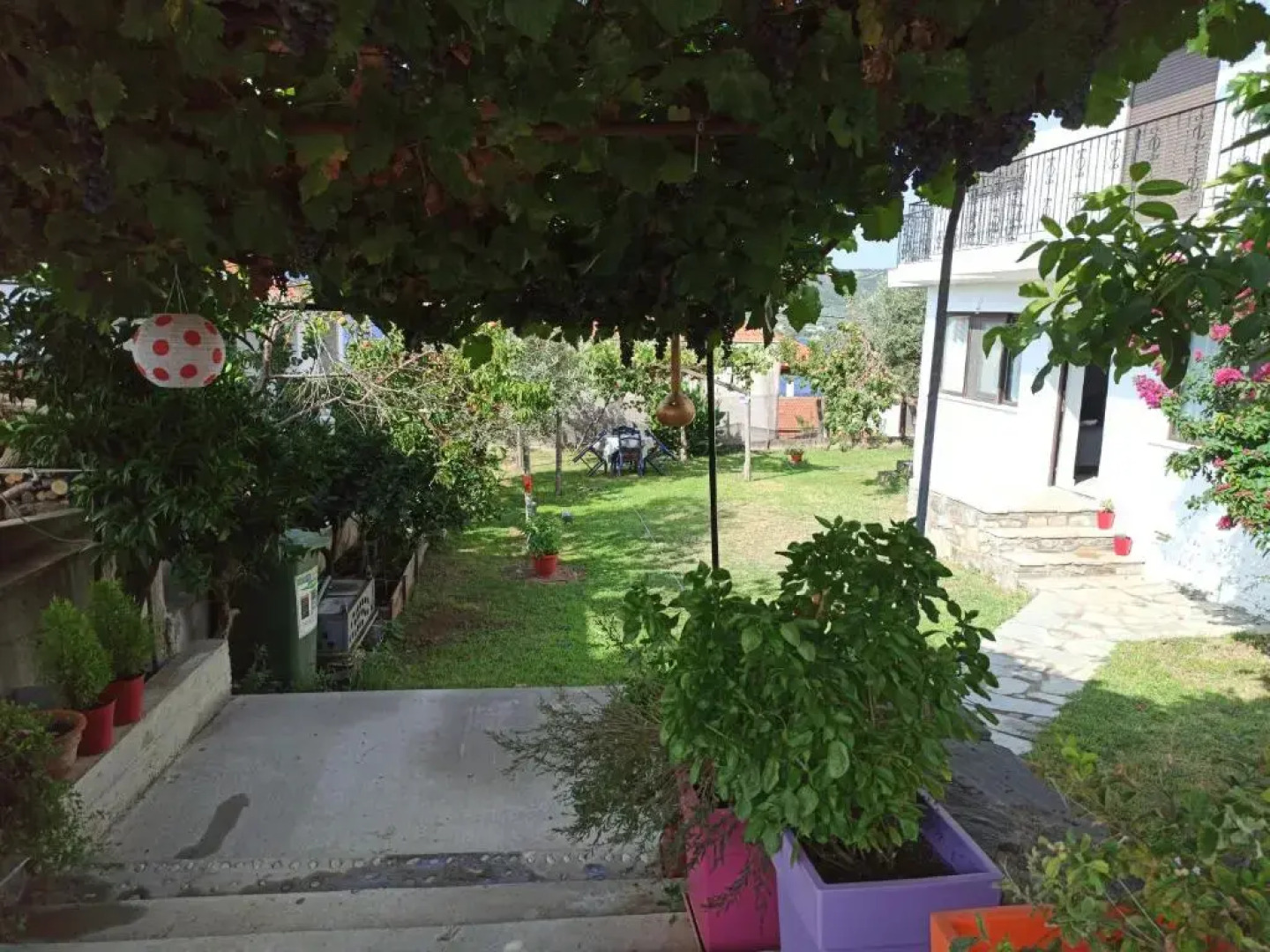 Dora's House comfortable apartment with a yard and view