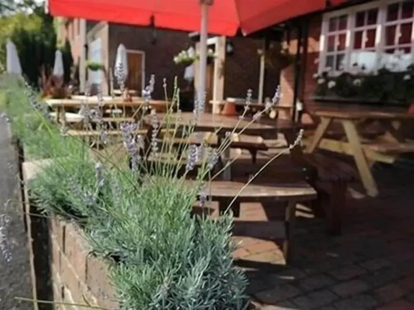 The Bull On The Green