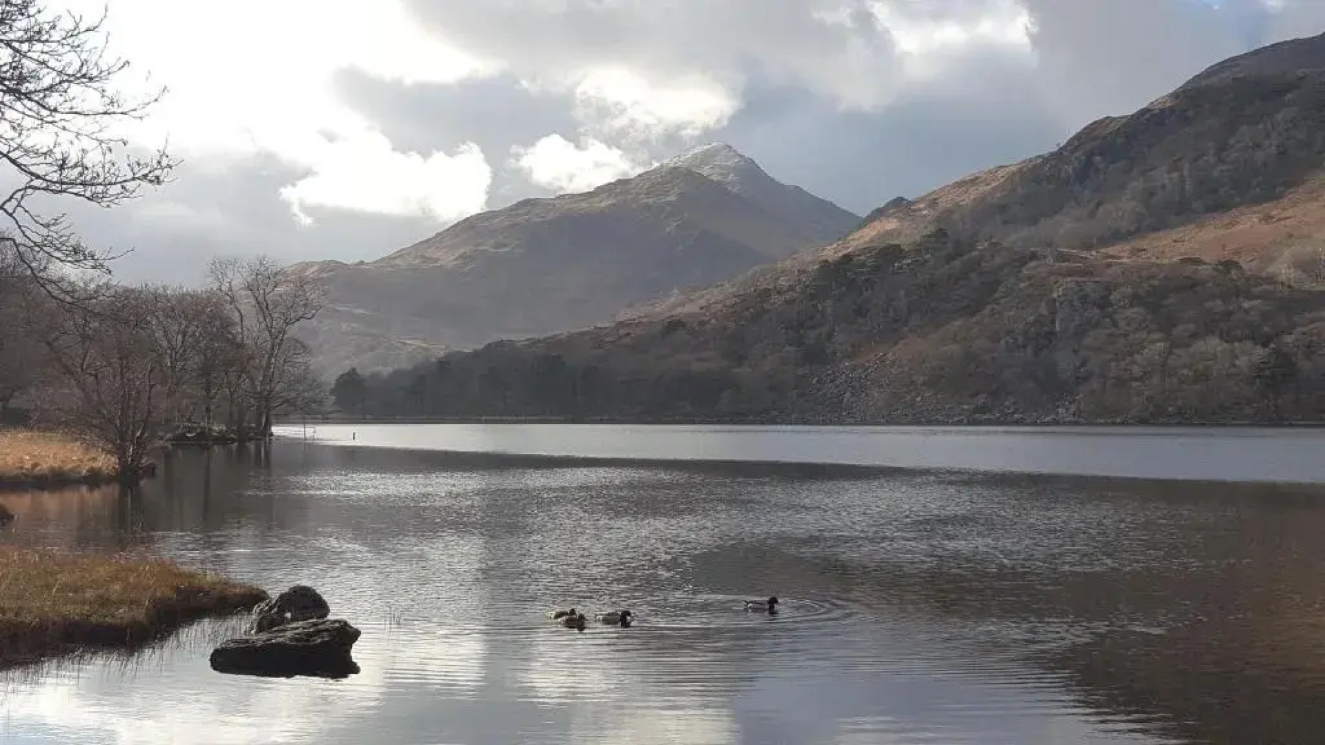 Bod Gwynedd Bed and Breakfast