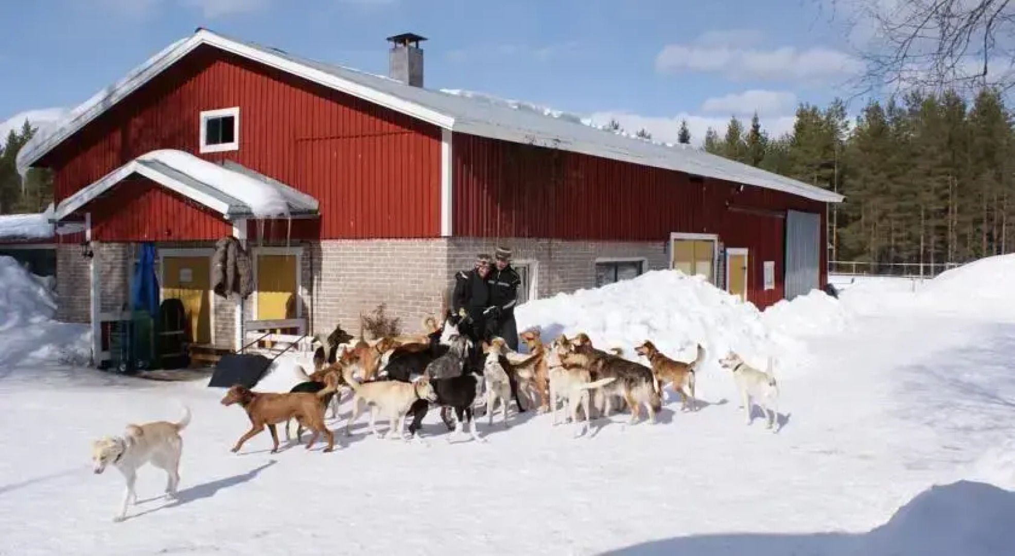 Northern Star Wilderness Ranch & Biker Lodge