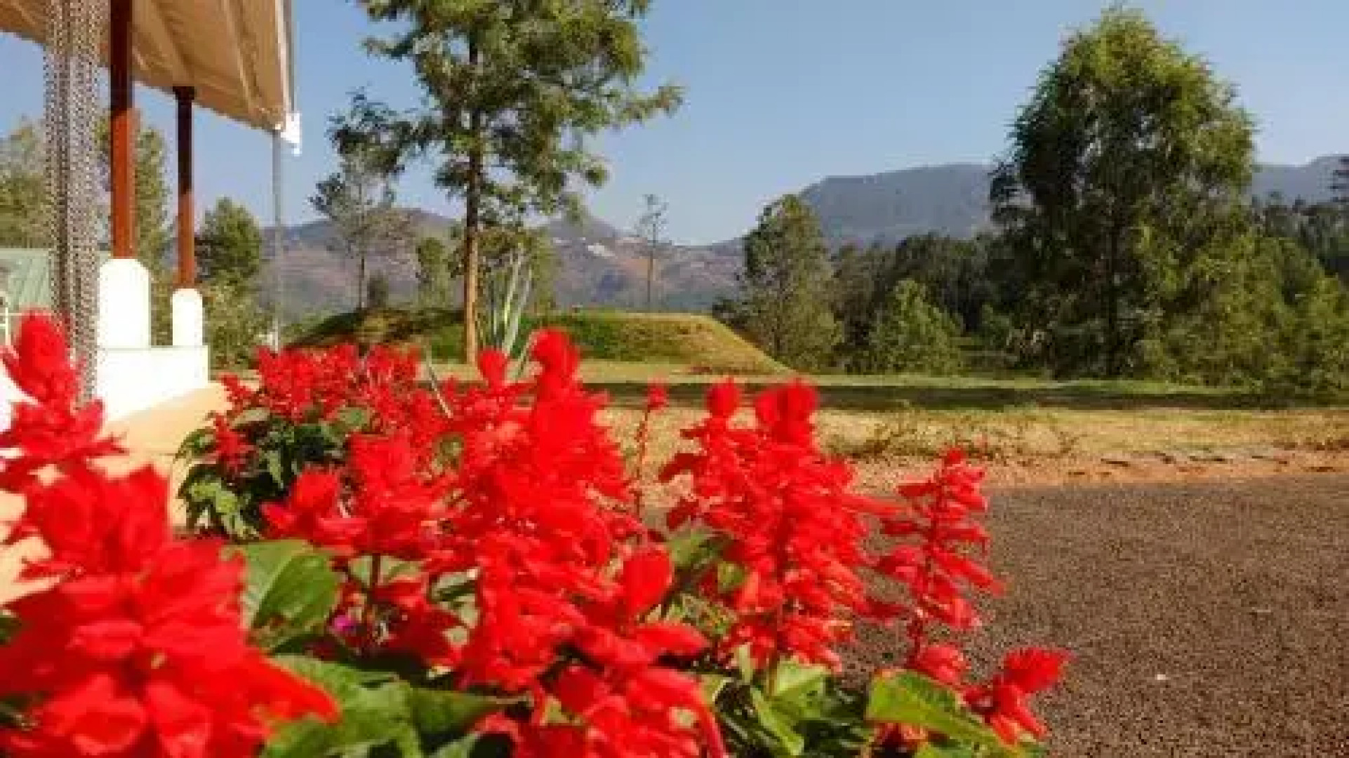 The Clive and Curzon