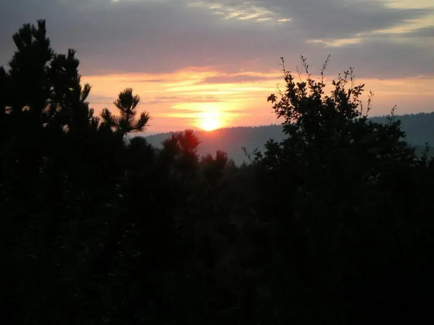 Vital-Wellnesspension