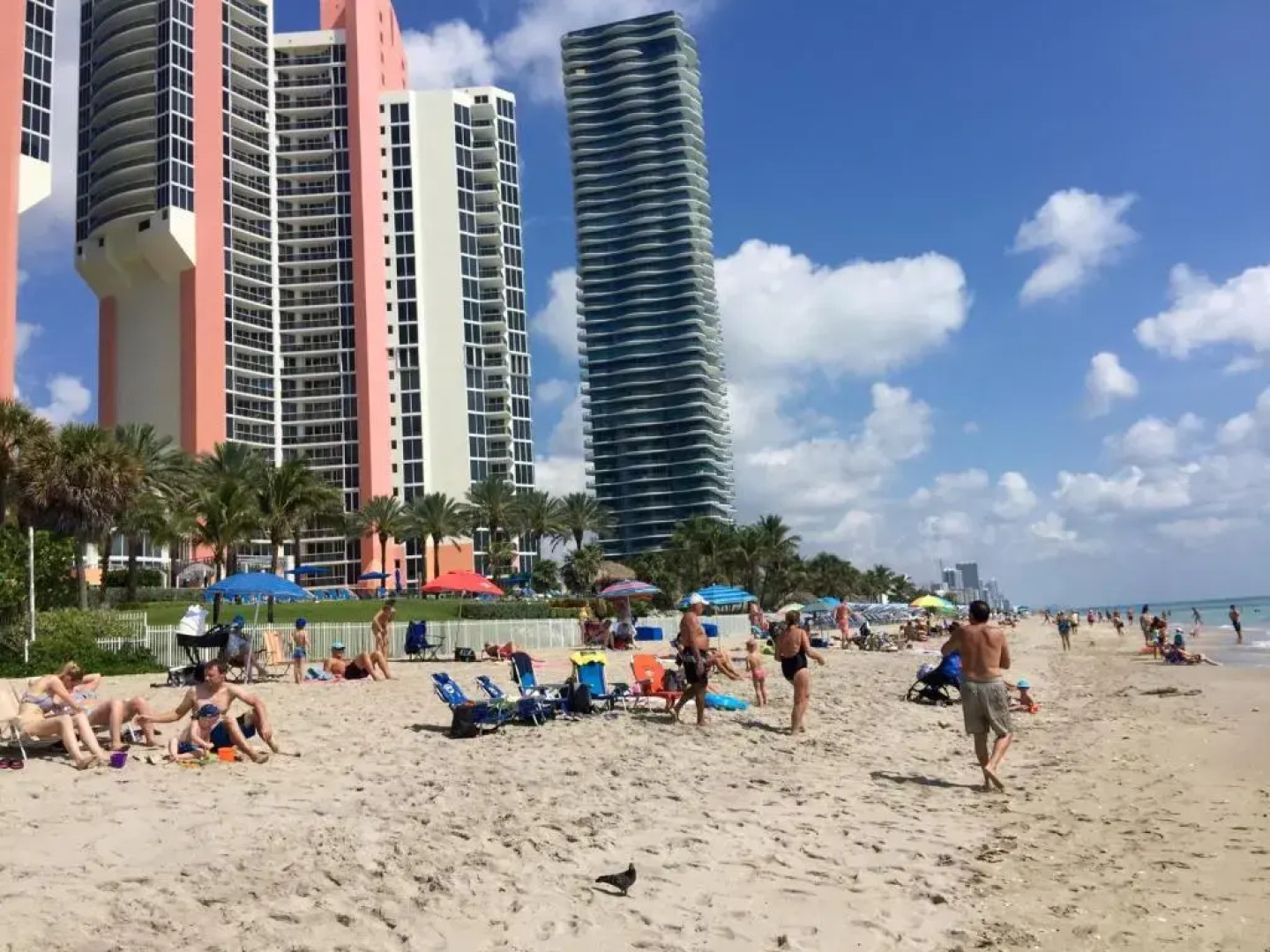 MIAMI O. Reserve Luxury Condos