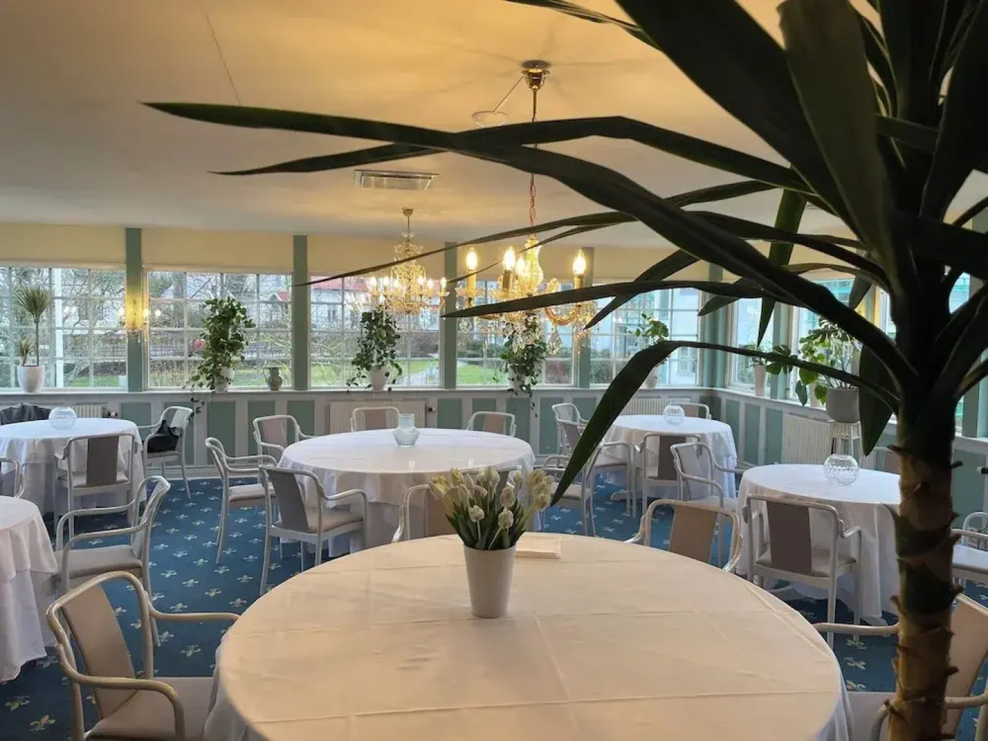 Anita på Gästis i Anderslöv