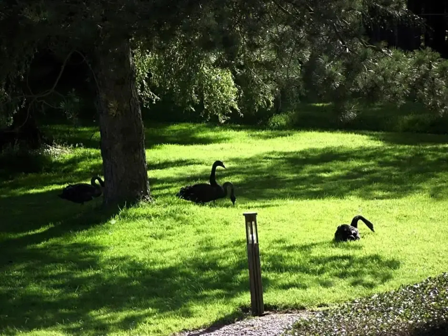 Les Portes des Froises