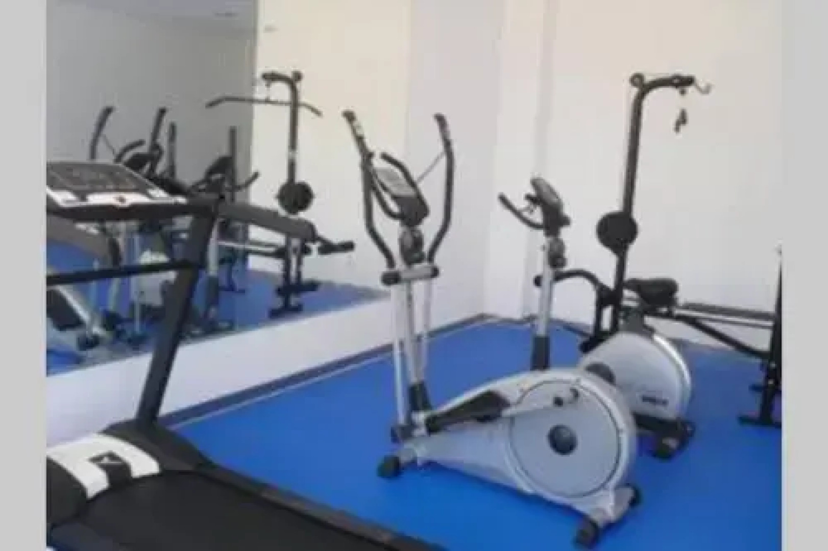 Quinta das Palmeiras