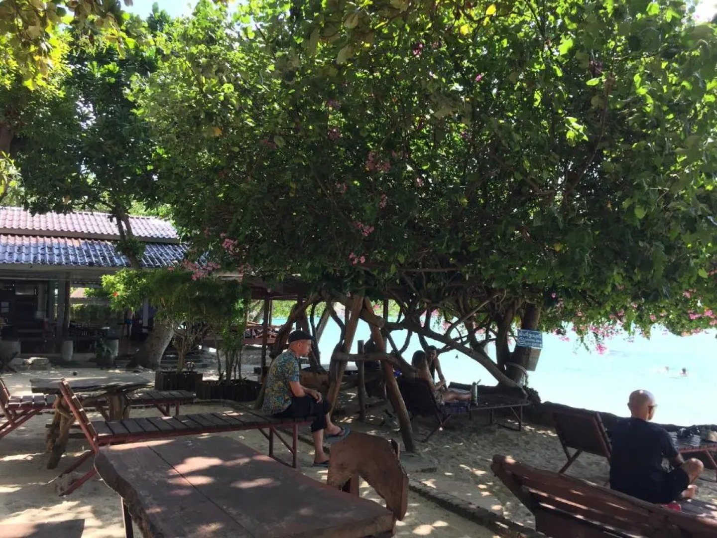 Big Fish Resort Koh Tao