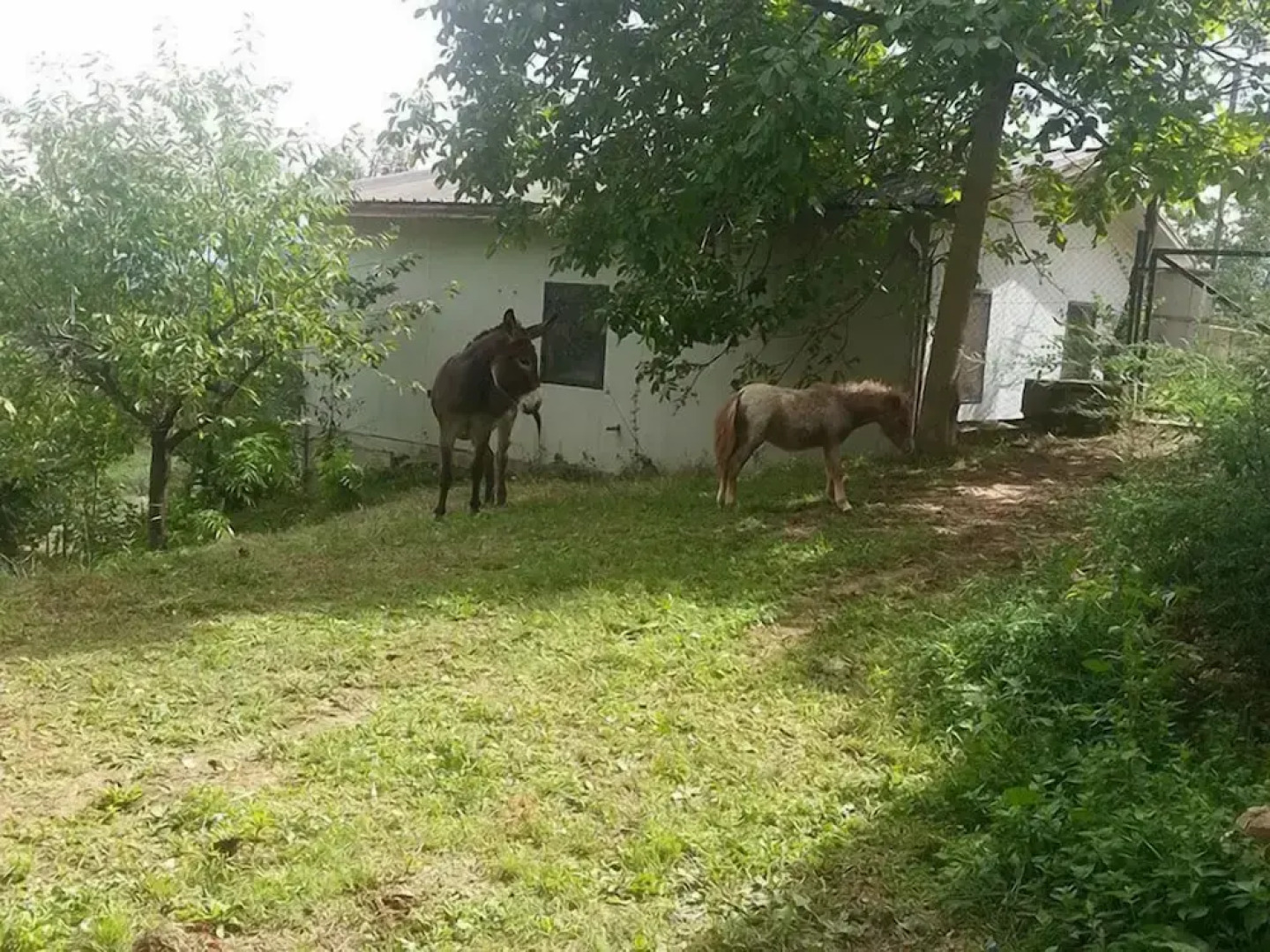 Agriturismo Tenuta del Daino