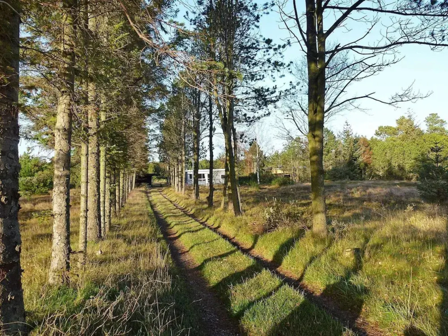 6 Person Holiday Home in Skagen