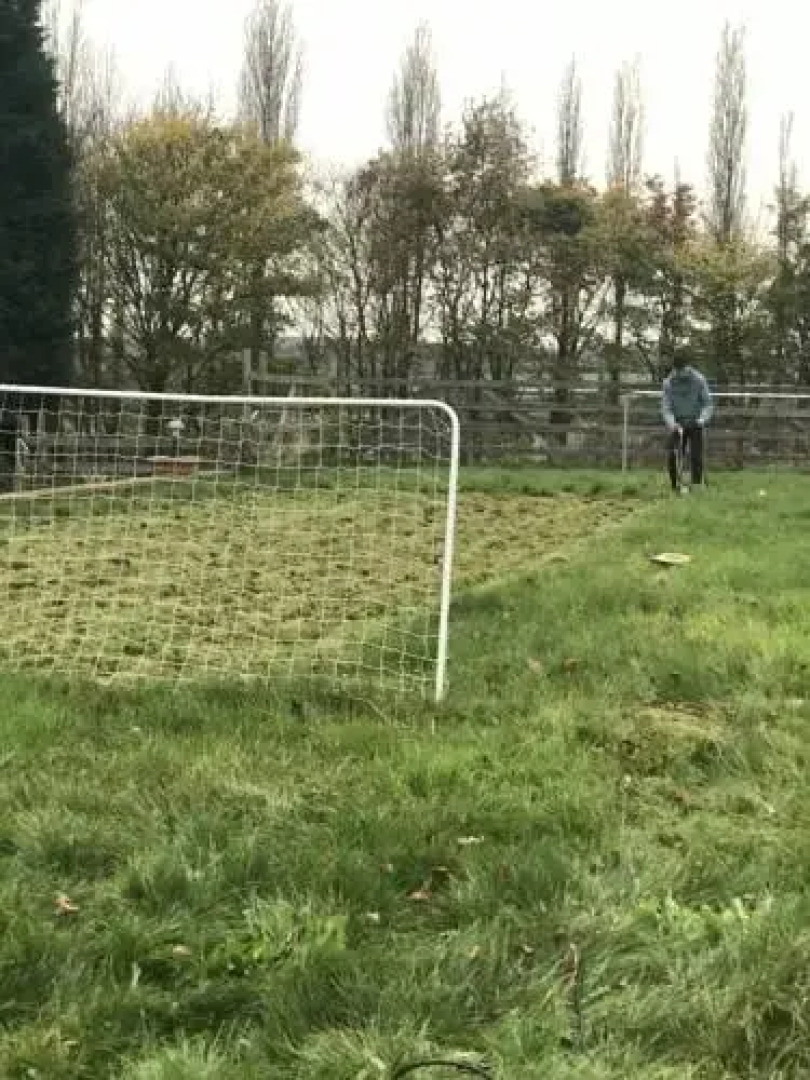 The White Rose Hotel